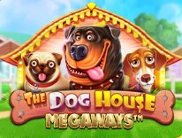 Machance casino The Dog House Megaways